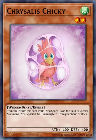 Chrysalis Chicky · EN008