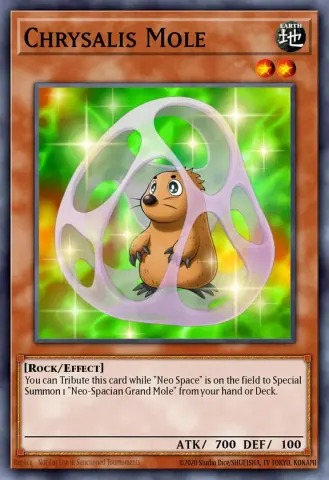 Chrysalis Mole · EN011