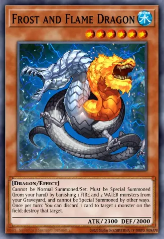 Frost and Flame Dragon · EN033