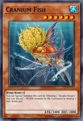 Cranium Fish · EN083