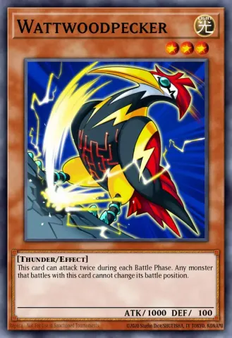 Wattwoodpecker · EN027
