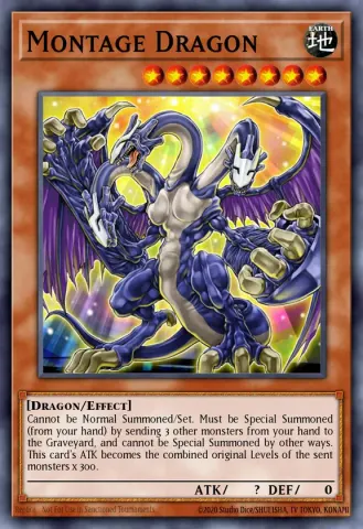 Montage Dragon · EN023