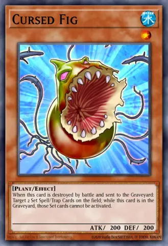 Cursed Fig · EN024