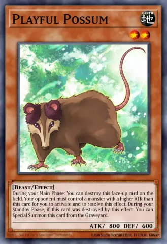 Playful Possum · EN033
