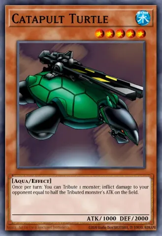 Catapult Turtle · EN038