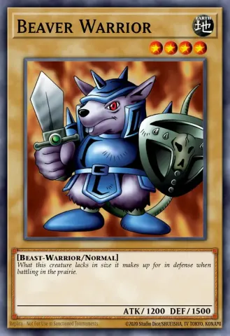 Beaver Warrior · 064