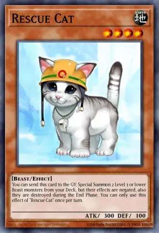 Rescue Cat · EN006