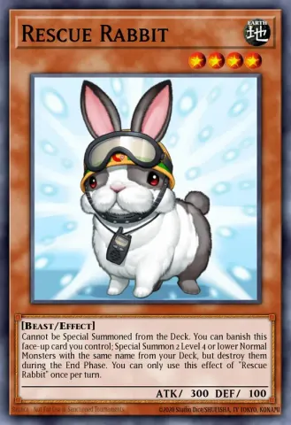 Rescue Rabbit · EN008