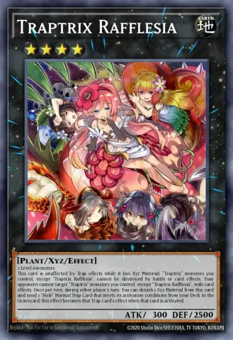 Traptrix Rafflesia · EN034