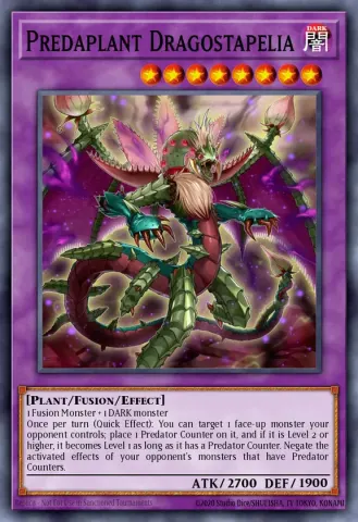Predaplant Dragostapelia · EN027