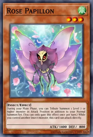 Rose Papillon · EN250