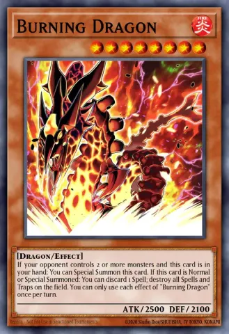 Burning Dragon · EN251