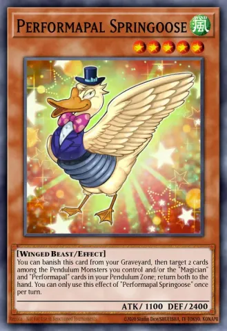 Performapal Springoose · EN005