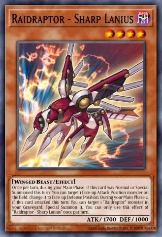 Raidraptor - Sharp Lanius · EN016
