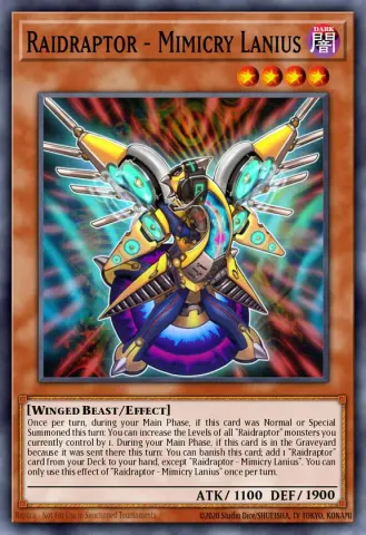 Raidraptor - Mimicry Lanius · EN017