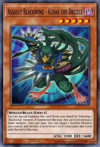 Assault Blackwing - Kunai the Drizzle · EN119