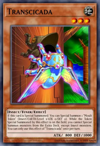 Transcicada · EN030