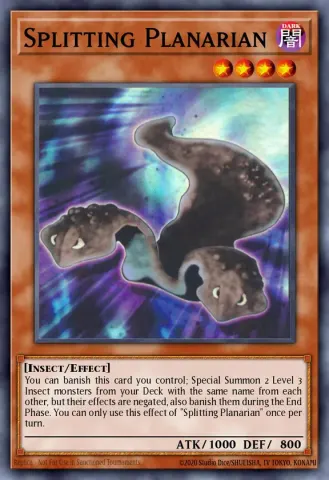 Splitting Planarian · EN100