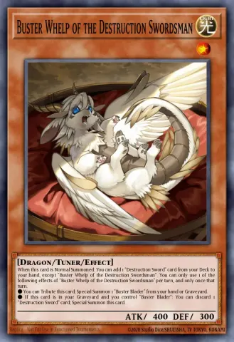 Buster Whelp of the Destruction Swordsman · EN280