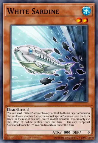 White Sardine · EN007