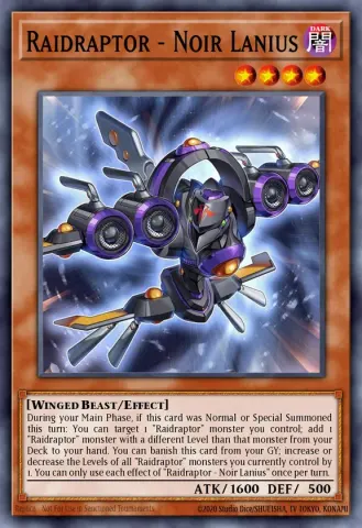 Raidraptor - Noir Lanius · EN004