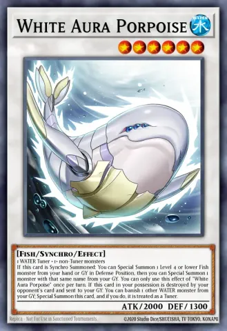 White Aura Porpoise · EN041