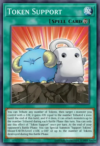 Token Support · EN067
