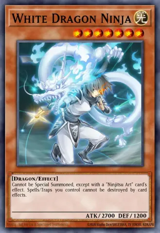 White Dragon Ninja · EN444